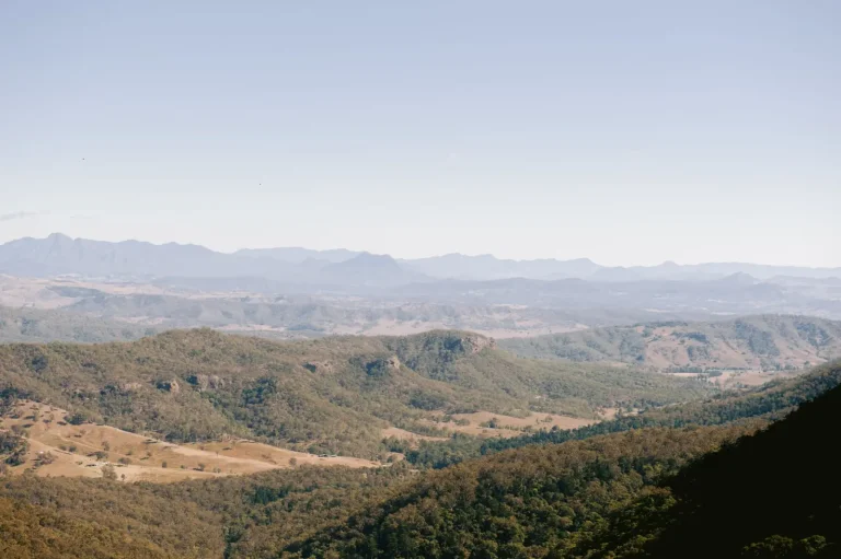 Gondwana's Remnant Forests: What Lamington National Park Actually Reveals