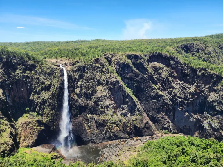 Wallaman Falls: Australia's Tallest Drop and What the Rainforest