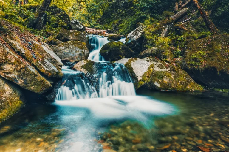 Mount Tamborine's Waterfalls: What Actually Happens on the Ground Mount Tamborine's Waterfalls: What Actually Happens on the Ground